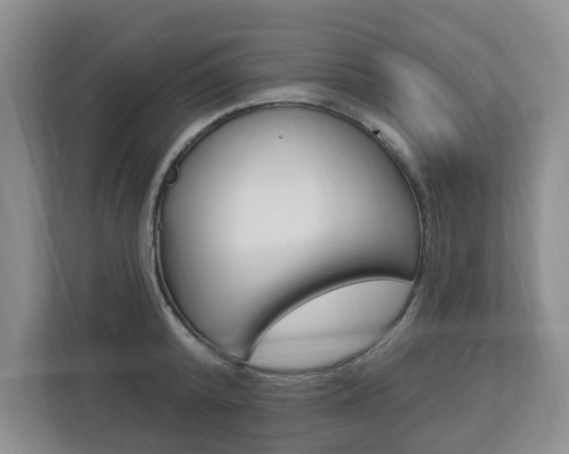 X0000112840800200908210958