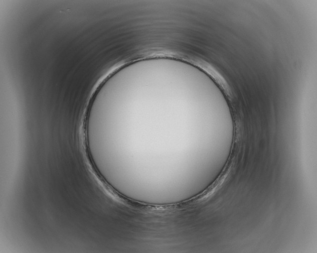 X0000112840806200908210957
