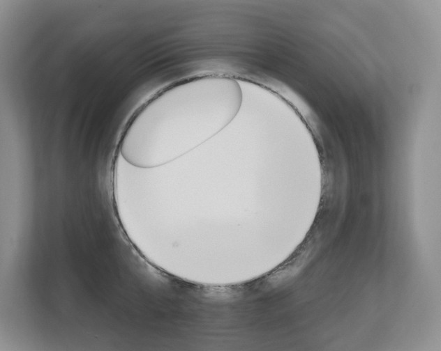 X0000112840807200908210957