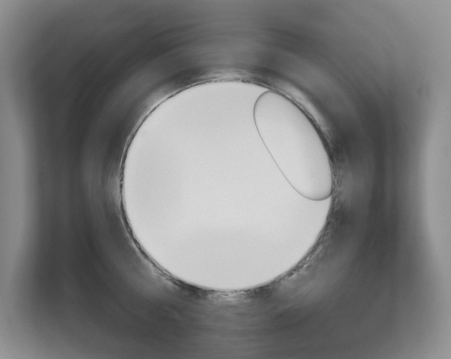 X0000112840810200908210957