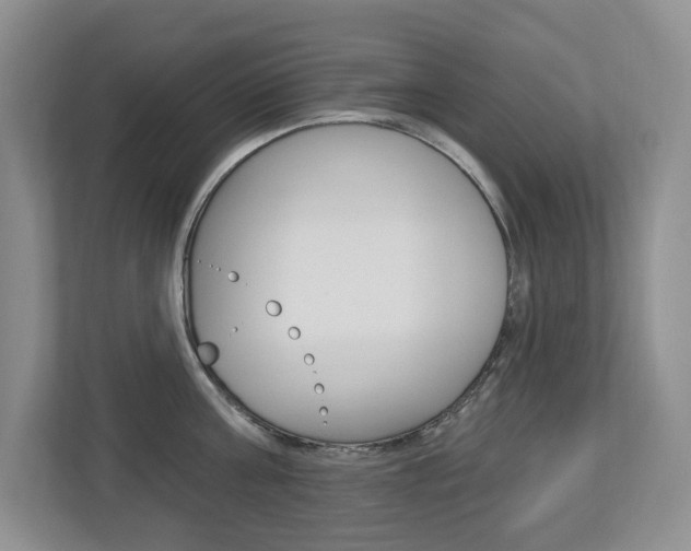 X0000112840811200908210957