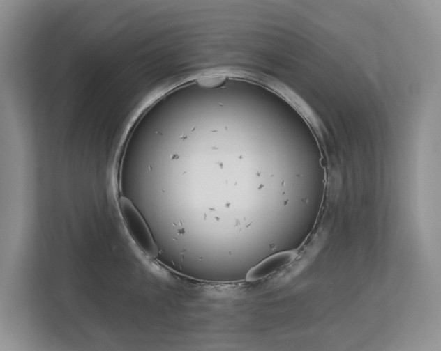 X0000112840813200908210957