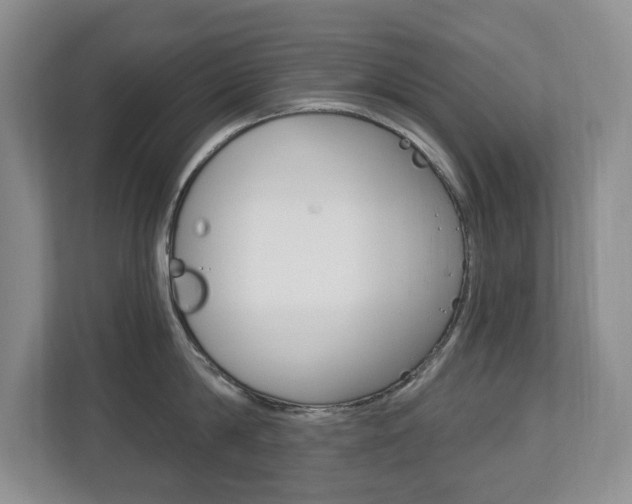 X0000112840814200908210957