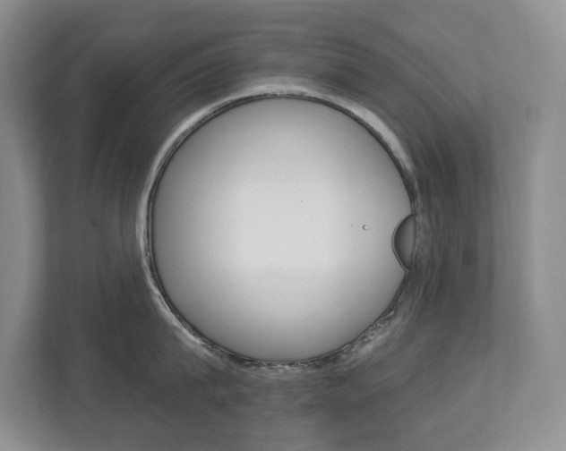X0000112840815200908210957
