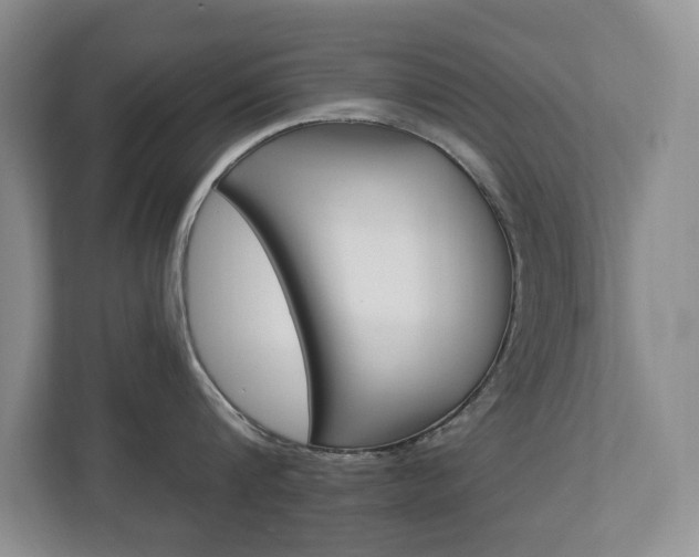 X0000112840816200908210957