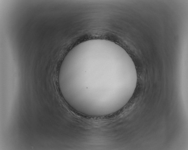 X0000112840817200908210957