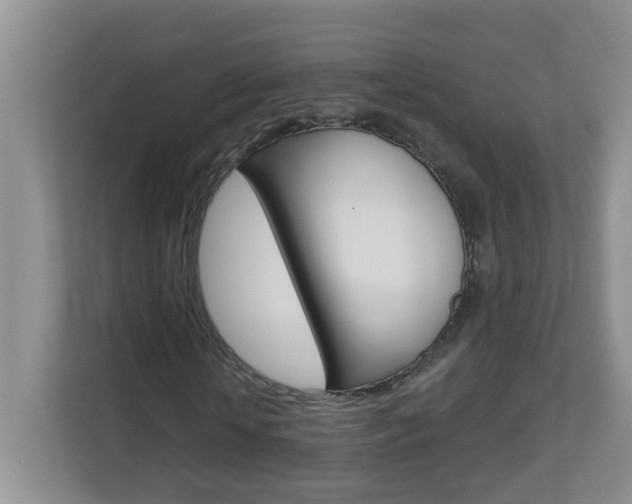 X0000112840818200908210957