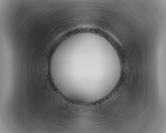 X0000112840821200908210957