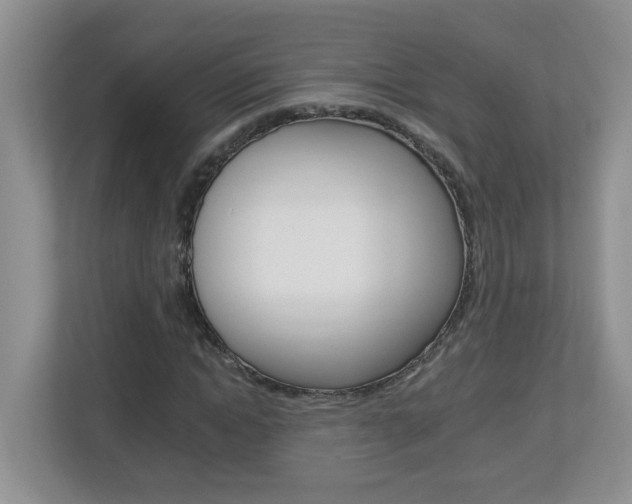 X0000112840822200908210957