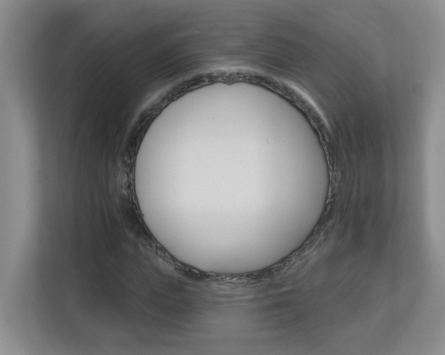 X0000112840823200908210957