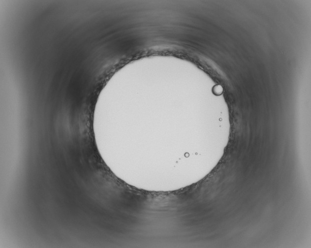 X0000112840824200908210957