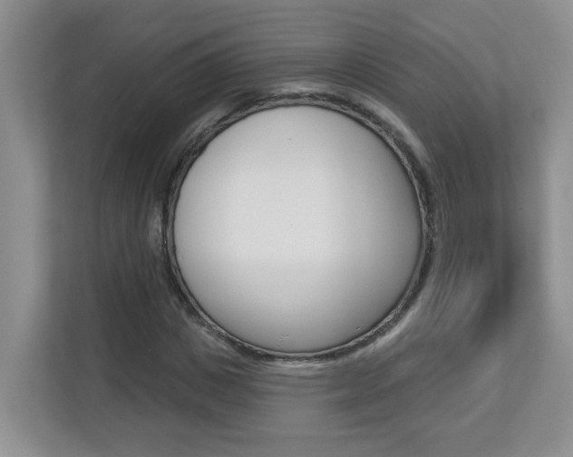 X0000112840825200908210957