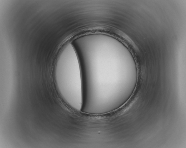 X0000112840826200908210957