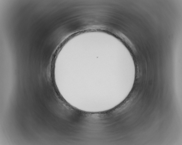 X0000112840828200908210957