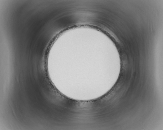 X0000112840832200908210957