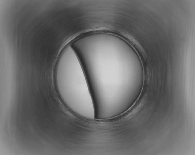 X0000112840834200908210957