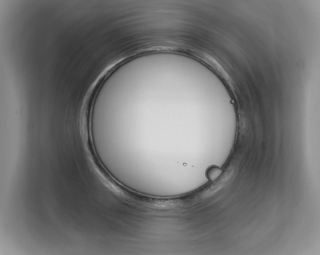 X0000112840843200908210957