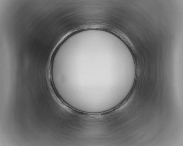 X0000112840844200908210957