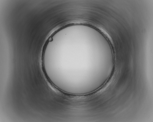 X0000112840845200908210957