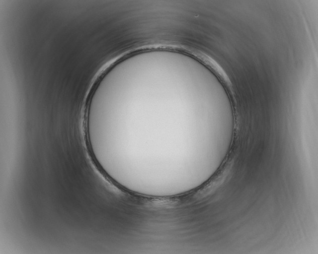 X0000112840847200908210957