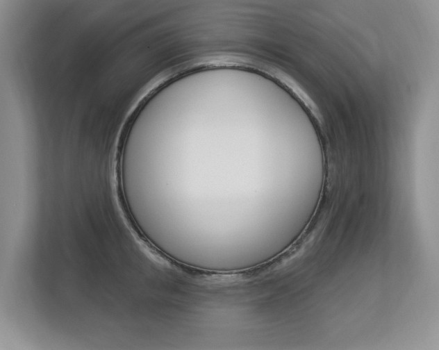 X0000112840853200908210957