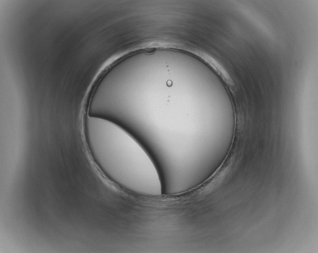 X0000112840854200908210957