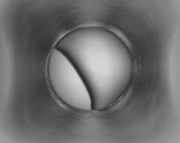 X0000112840858200908210957