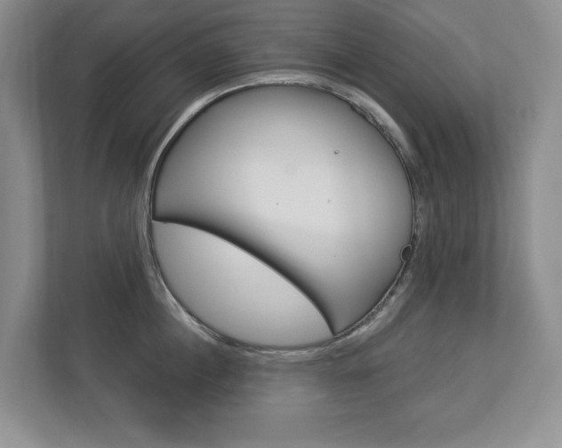 X0000112840860200908210957