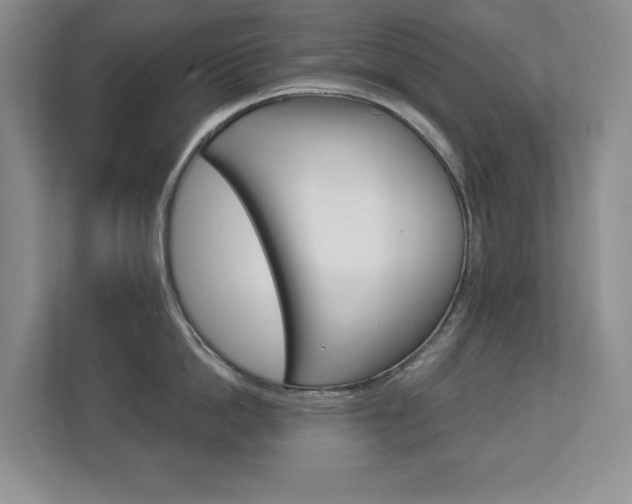 X0000112840862200908210957