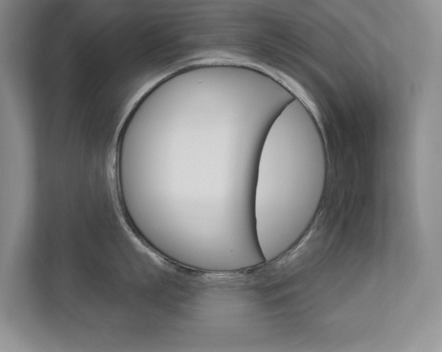 X0000112840863200908210957