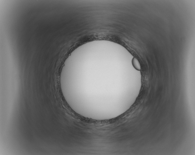 X0000112840865200908210957