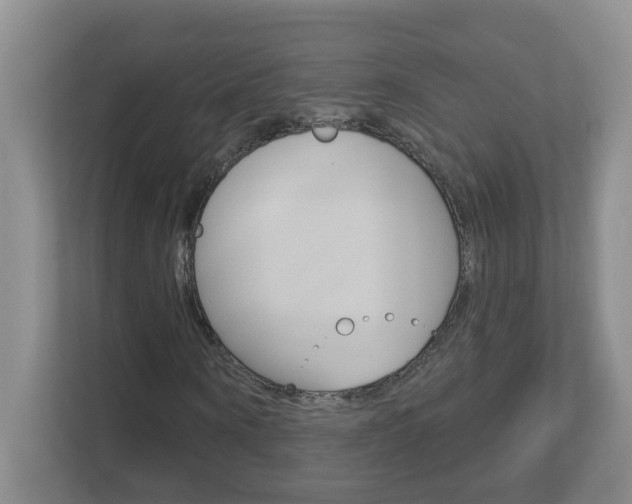 X0000112840866200908210957