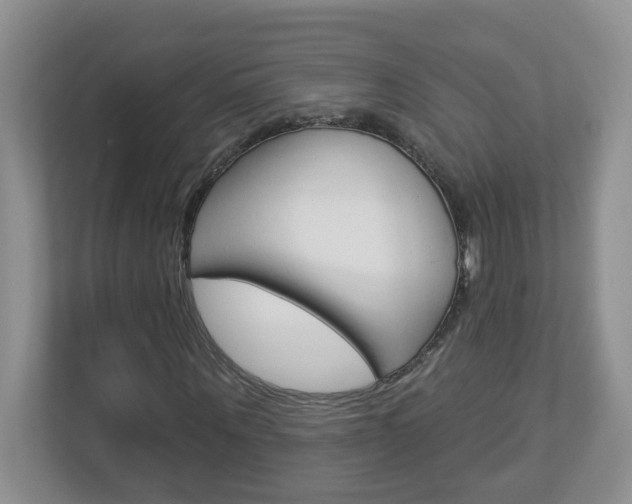 X0000112840867200908210957