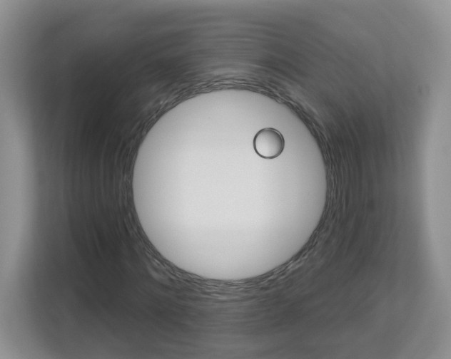 X0000112840868200908210957