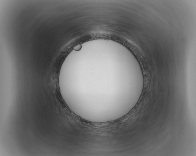 X0000112840870200908210957