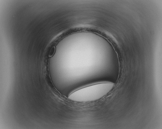 X0000112840872200908210957