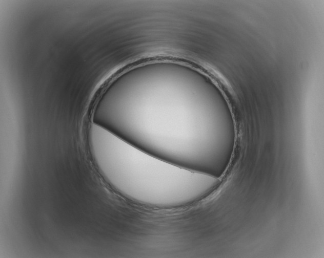 X0000112840877200908210957