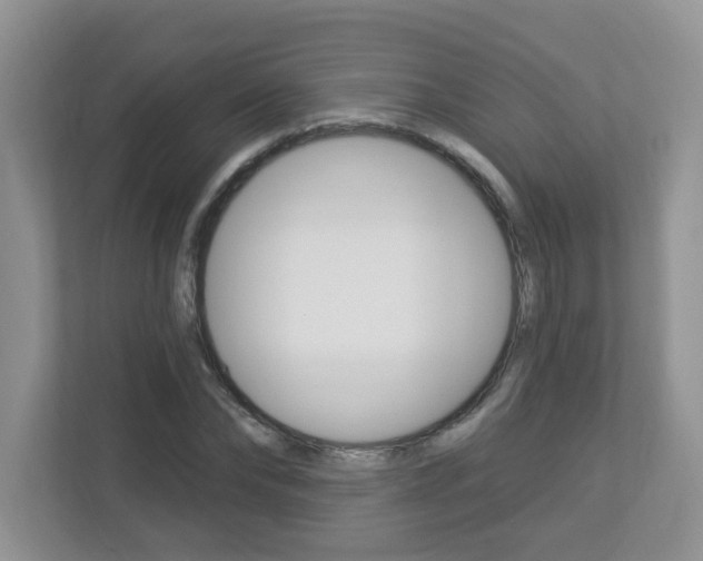 X0000112840878200908210956