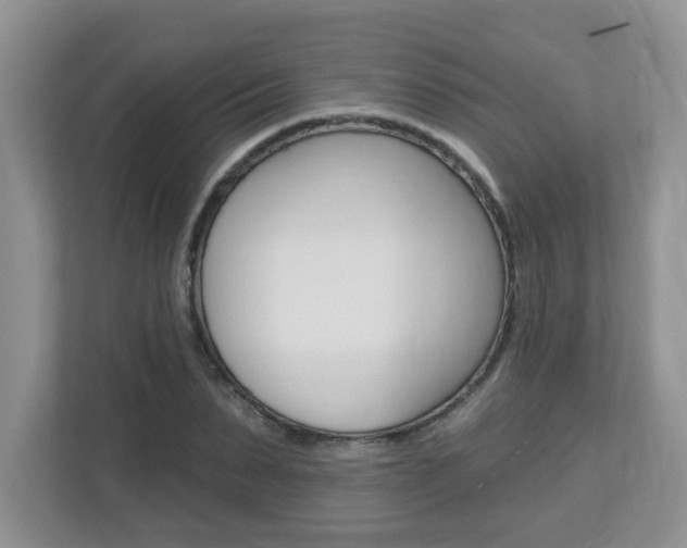 X0000112840879200908210956