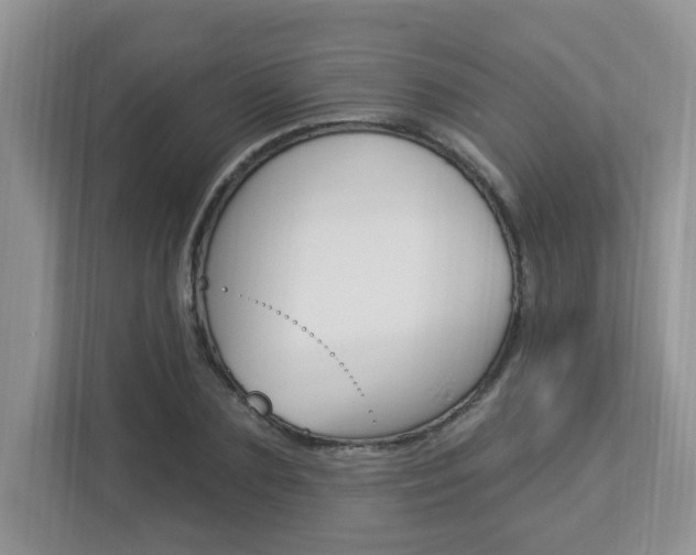 X0000112840883200908210956