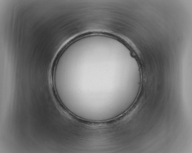 X0000112840887200908210956
