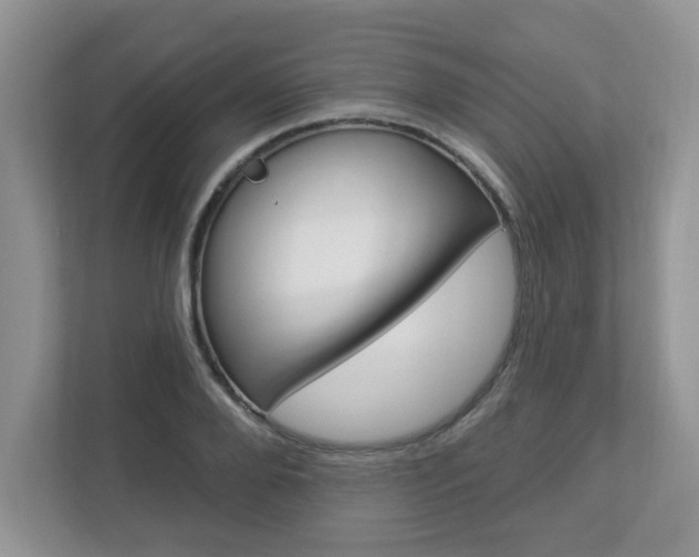 X0000112840888200908210956