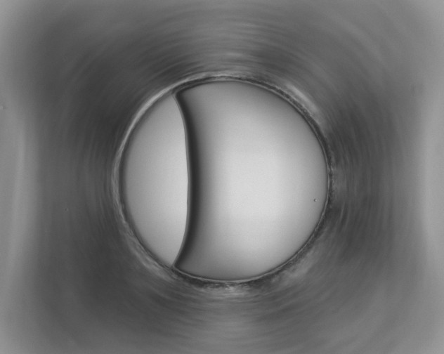 X0000112840891200908210956