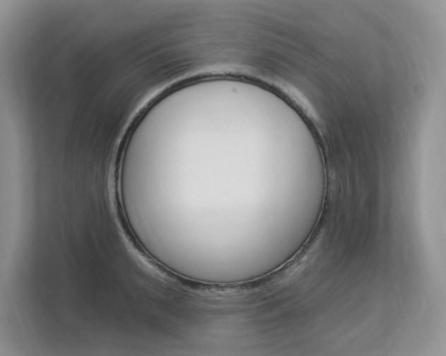 X0000112840895200908210956