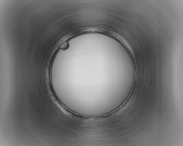 X0000112840898200908210956
