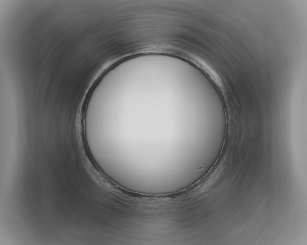 X0000112840899200908210956