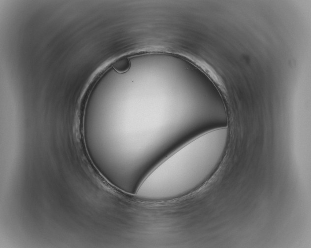 X0000112840904200908210956