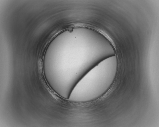 X0000112840906200908210956
