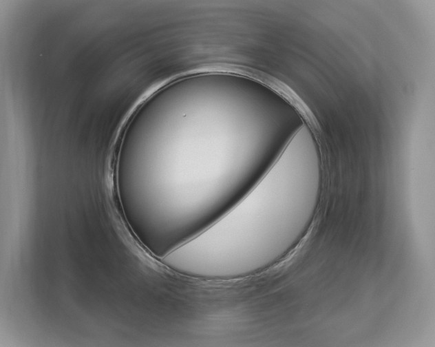 X0000112840908200908210956