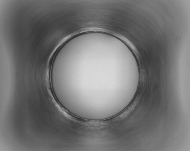 X0000112840910200908210956